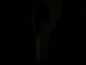 Visceratio-მიმზიდველ ...